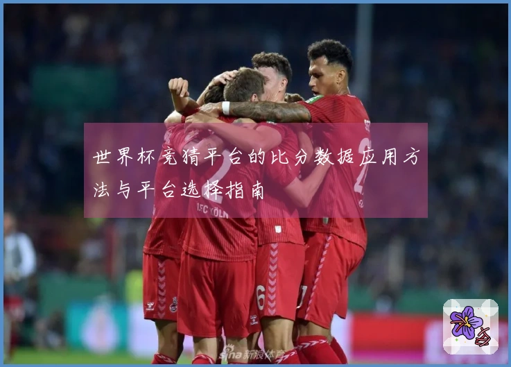 世界杯竞猜平台的比分数据应用方法与平台选择指南