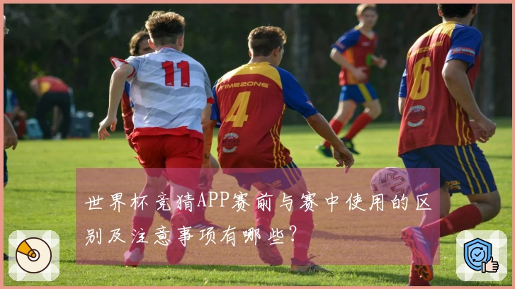 世界杯竞猜APP赛前与赛中使用的区别及注意事项有哪些？