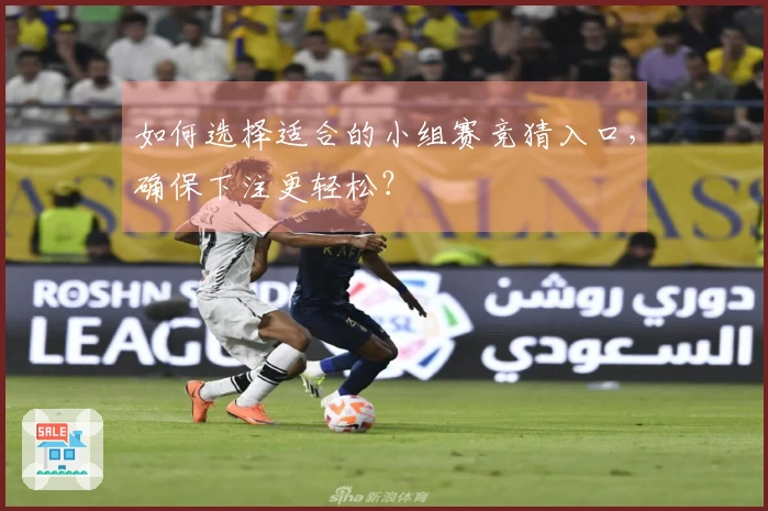 如何选择适合的小组赛竞猜入口，确保下注更轻松？