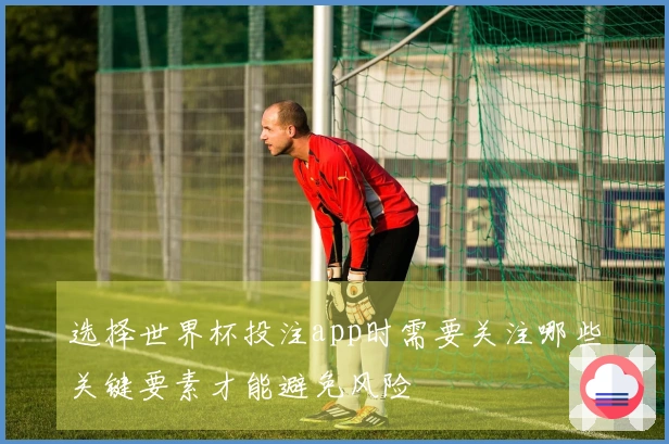 选择世界杯投注app时需要关注哪些关键要素才能避免风险