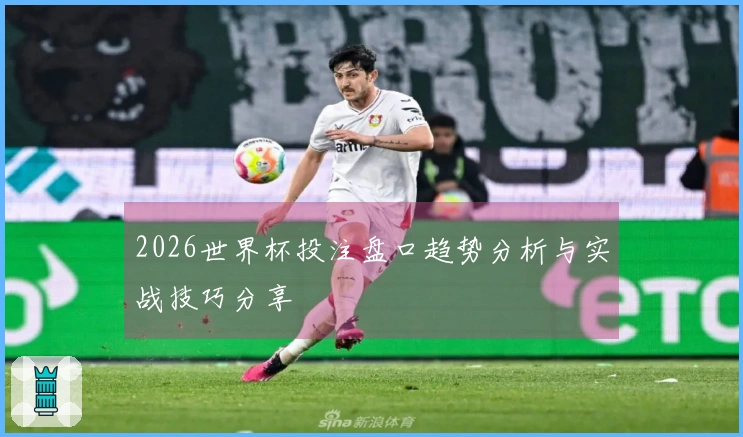 2026世界杯投注盘口趋势分析与实战技巧分享